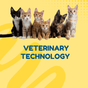Veterinary Technology refers to the treatment & care of animals through various technical ways. It uses scientific methods, knowledge, and practical skills to prevent animals from harmful diseases