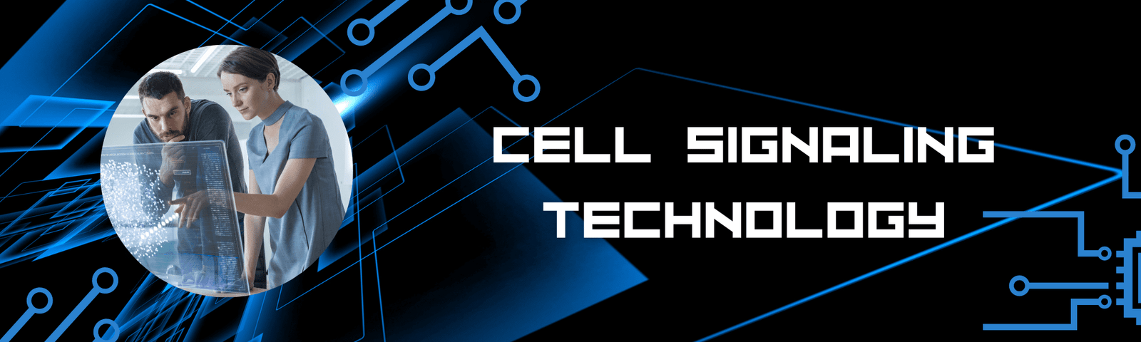 Cell Signaling Technology is a private company that provides various biological products and services to the world.