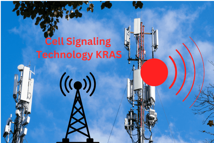 Cell Signaling Technology (CST) is analyzing KRAS, an important protein associated with cell signaling. About 25% of all cancers contain KRAS mutations, which makes it an important target for research activities.